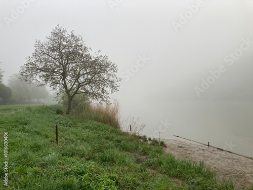 Nebel am Fluss Mosel verzaubert Ufer mystisch