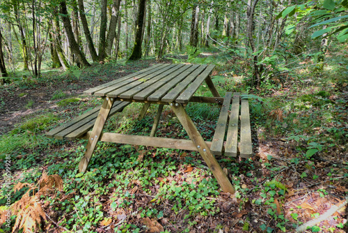 Picnic table set in a tranquil setting off a pathway in a natural woodland 