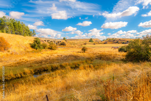 A horse walks near Pine Creek and the historic Railway Bridge, at the site of the Steptoe Battle of 1858, in the Palouse region of Rosalia, Washington.