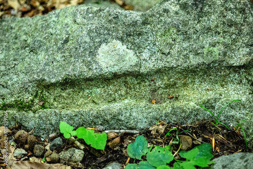 Glacially scoured groove in rock at Lake Solitude, New Hampshire.