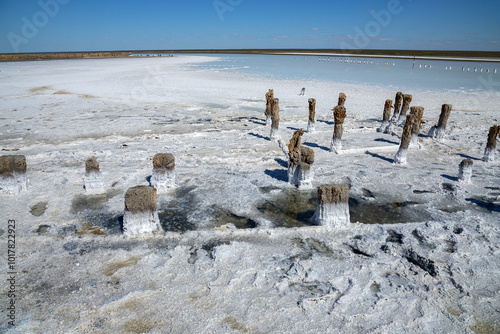 Wooden old baths on Lake Elton. Volgograd region, Russia