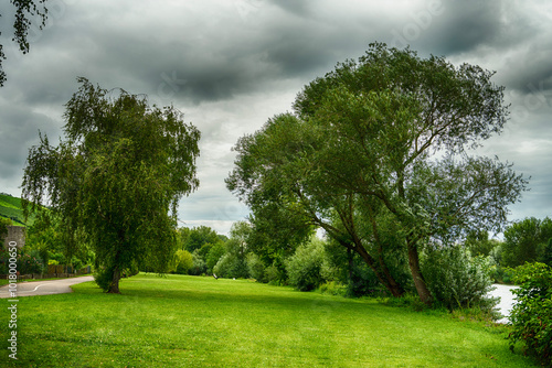 Landscape - between trees