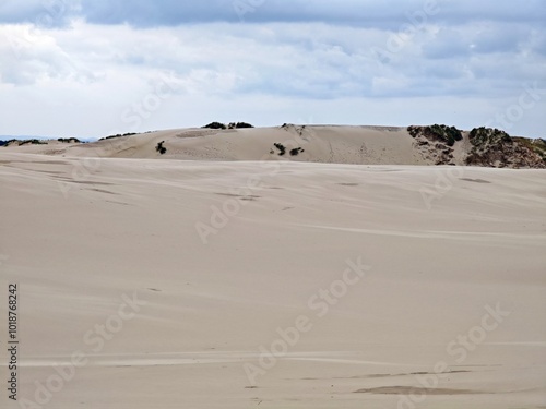 Düne bei Skagen