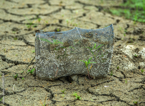 An abaldoned fish trap on cracked ground by drought, Korea. 