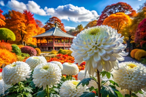 Exquisite White Chrysanthemum in Traditional Japanese Ogiku Style at Hibiya Park Autumn Festival