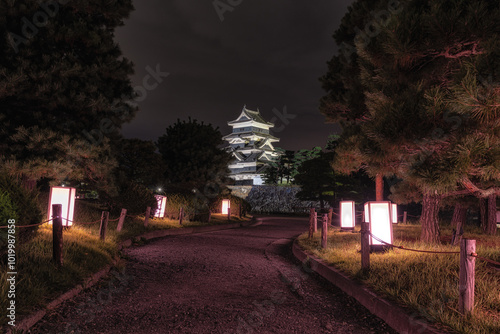 Matsumoto jo castle at Night