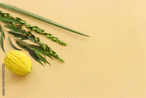 Jewish festival of Sukkot. Traditional symbols (The four species): Etrog (citron), lulav (palm branch), hadas (myrtle), arava (willow)