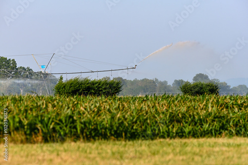 Irrigation à pivot en action : Sécuriser la production agricole dans un climat changeant