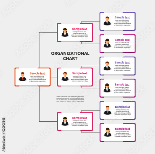 Corporate organizational chart with business avatar icons. Business hierarchy infographic elements