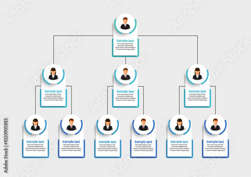 Corporate organizational chart with business avatar icons. Business hierarchy infographic elements