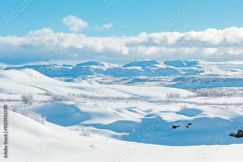 Hummocks in a snowy desert with blizzards, a lifeless snowy landscape