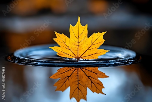 A single leaf floating on a still pond, reflecting the natural simplicity and beauty that transcendentalists revered in the ordinary