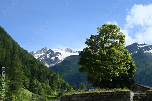 Blick von Trient zur Aiguille du Tour