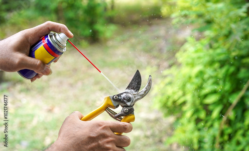 Man hands use lubricating oil spray to an old steel pruning shear prepare before pruning plants or garden tool maintenance concept.