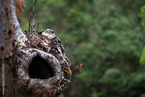 Bees next to a tree hole