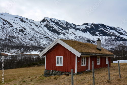 Maison typique norvégienne perdue en montagne