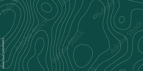 abstract pattern with lines. background of the topographic map. elevation contouring outline cartography texture. geographic abstract grid. futuristic wireframe landscape background.