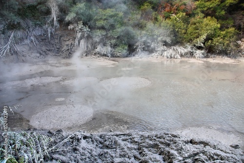 Rotorua boiling mud in New Zealand