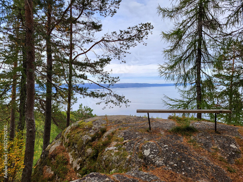 Paysage avec un banc isolé dans une forêt de pins et de mélèzes surplombant un fjord