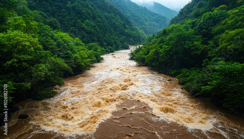 Raging river flows through lush green mountains under cloudy skies.