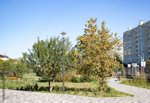 Autumn landscape in the city park on a bright sunny day in the walnut grove of Anapa in summer