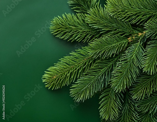 fraser fir christmas tree holiday branch close up texture background with copy space