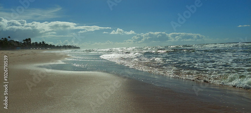 beautiful beach on the Brazilian coast with exuberant colors and paradisiacal landscape 