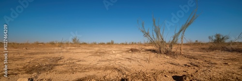 A wide, desolate landscape stretches out beneath a clear, blue sky, devoid of vegetation and life, embodying resilience and emptiness.