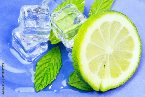 A lime wedge is on a plate with ice cubes and mint leaves