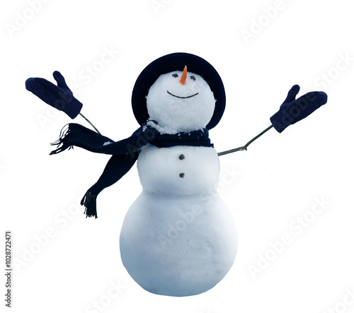 Cute snowman in a black top hat and scarf