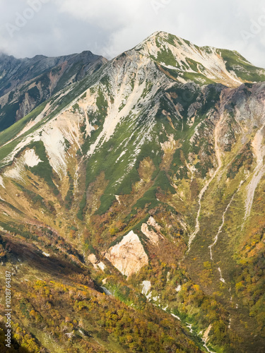 双六岳から望む紅葉シーズンの鷲羽岳の壮大な風景