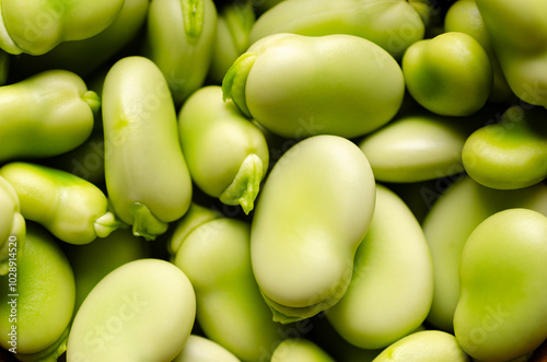 Close up of fresh fava beans.