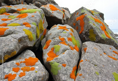 Lichen Covered Rocks Large rocks are adorned with patches of col