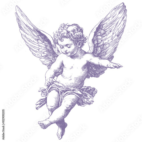 A detailed vector illustration of a cherub with wings, depicted in a classic engraving style. 