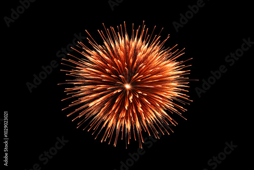 Flower-like fireworks exploding against a black background, Chinese New Year, Independence Day, Diwali, and festivals.