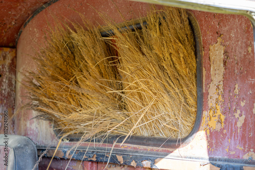 decoration from an old car, straw sticking out of the broken window. Old ruined car