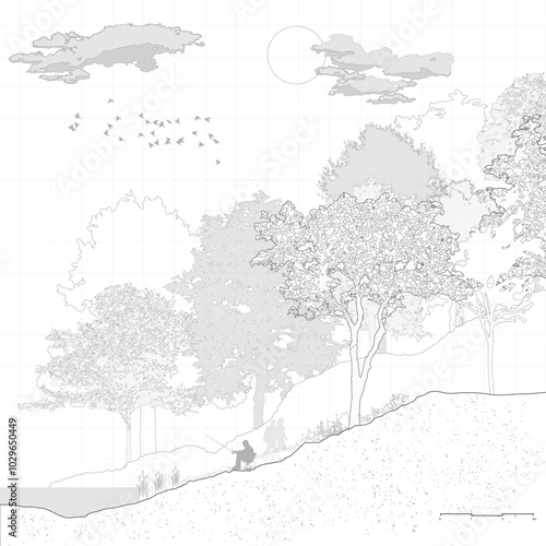 Architectural Drawings, Minimal style cad tree line drawing, Side view, set of section mountian forest outline symbol for landscape design drawing. Vector illustration in stroke fill in white.