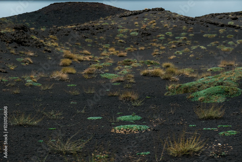 vegetation of Etna (also called Mongibello) is a complex stratovolcano of Sicily which originated in the Quaternary, and is the highest active volcano of the Eurasian plate