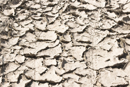 Cracked, arid, and desolate ground, a consequence of desertification and an arid climate - Infertile land parched by the sun