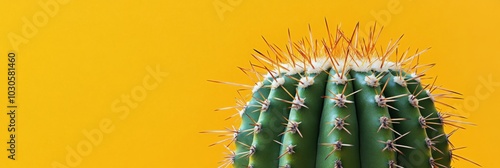 A vibrant green cactus with striking thorns against a bright yellow background indoors