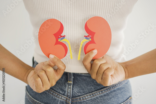 Hands holding kidney shaped paper, world kidney day, Organ Donor Day, Chronic kidney disease concept 