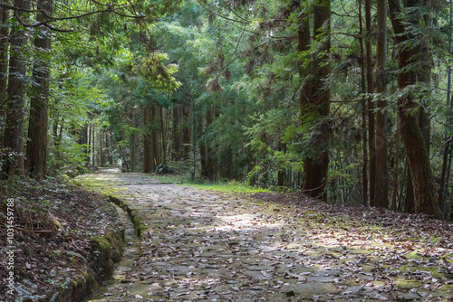 岐阜県 旧中山道の「落合の石畳」【国指定史跡】一部は昔のままで再現した江戸時代の街道