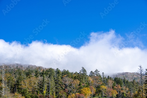 北海道・日勝峠、紅葉する山と雲海