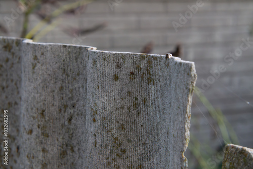 a poisonous, harmful board as a supplement to the fence in the garden of a country house. board made of harmful asbestos.