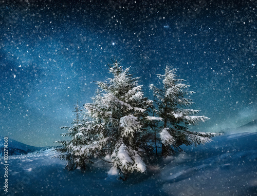 fabulous winter landscape in the mountains at night. Christmas tree under the night starry sky and the milky way