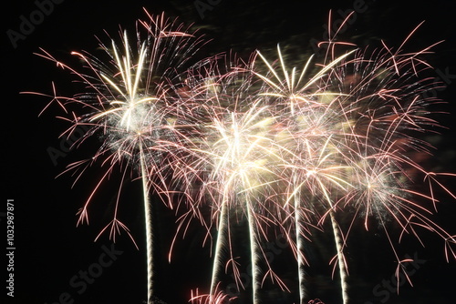 夜空に打ちあがる鮮やかな花火