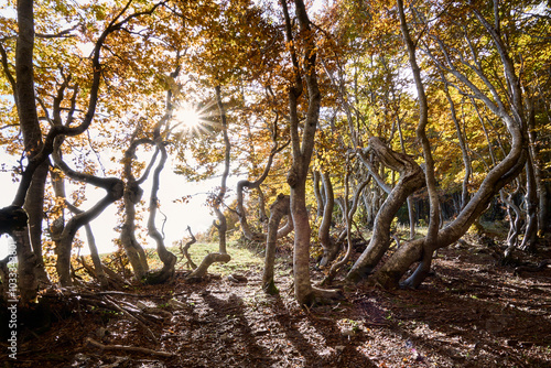 Autunno e Foliage sui Monti Simbruini - Appennino Laziale