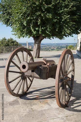 Vieux canon