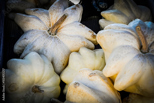 Zierkürbis, Yugoslavian Fingers, Kürbis, Herbstmarkt, Erntezeit, Dekoration, dekorativ, Herbst, Schweiz