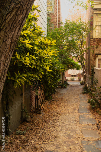 alley in the town